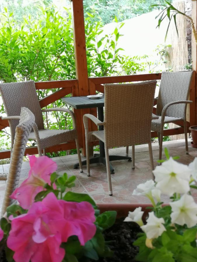 Karpatia Panzio Bed & Breakfast Estergon Dış mekan fotoğraf